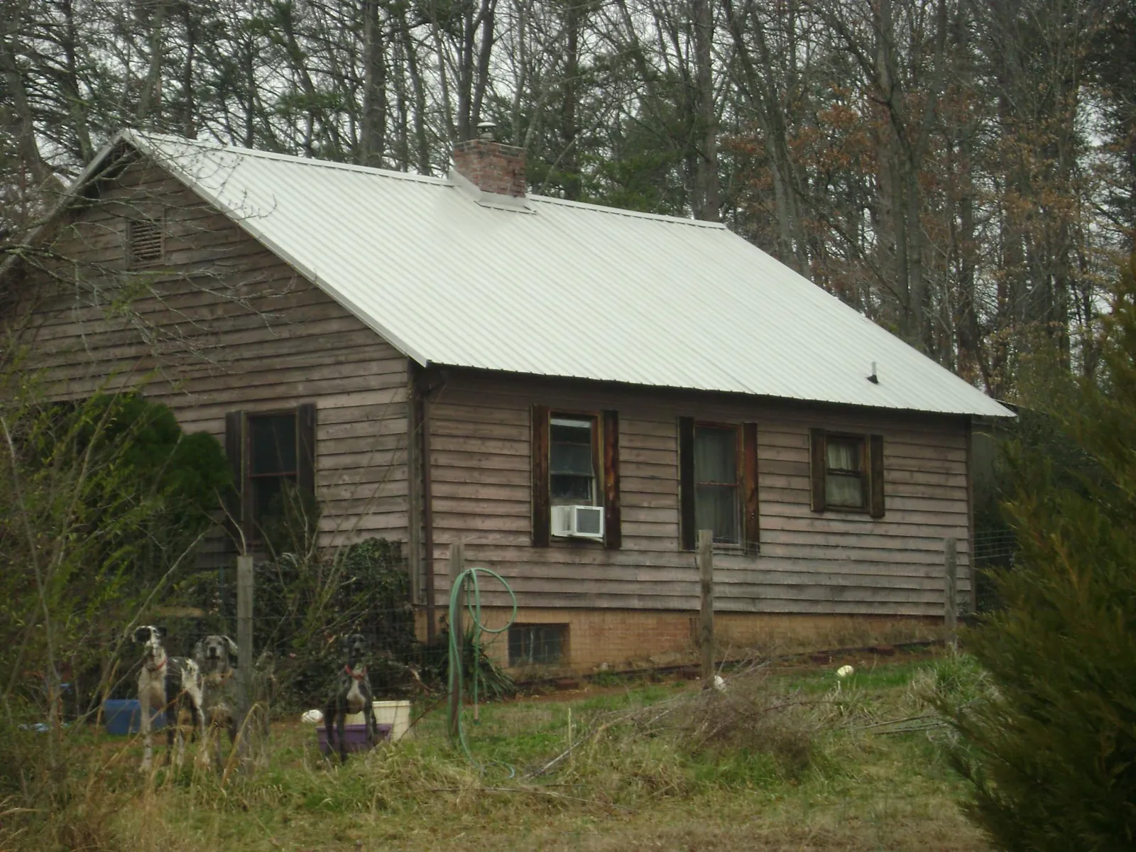 White metal roof on an old wood sided farmhouse, from a Asphalt Shingle Roof Repair job in Dexter